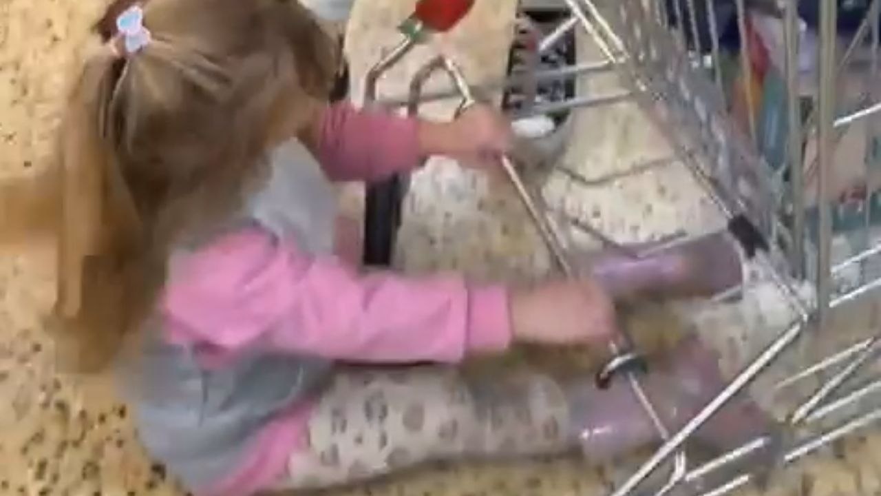 Shoppers laugh as little girl sits and holds cart base in supermarket