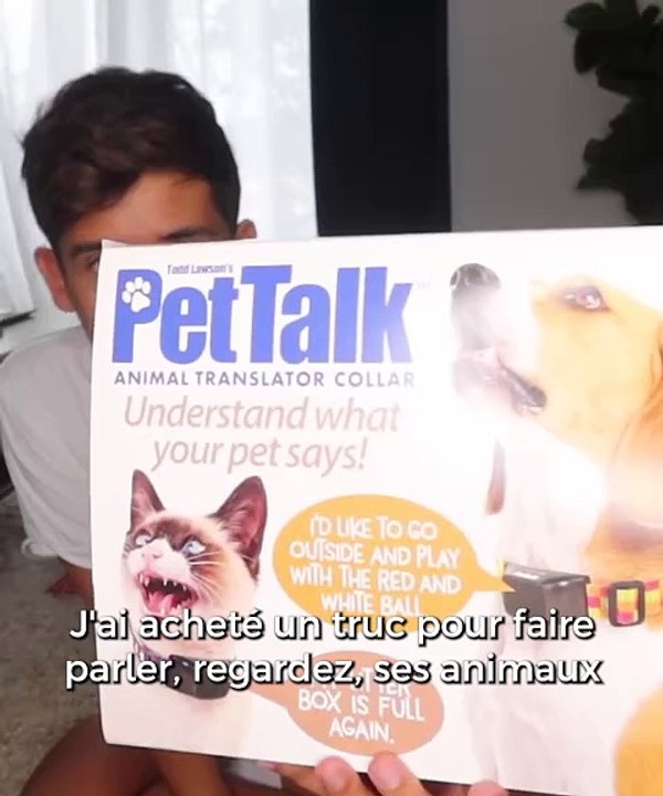 10 objets inutiles pour chien