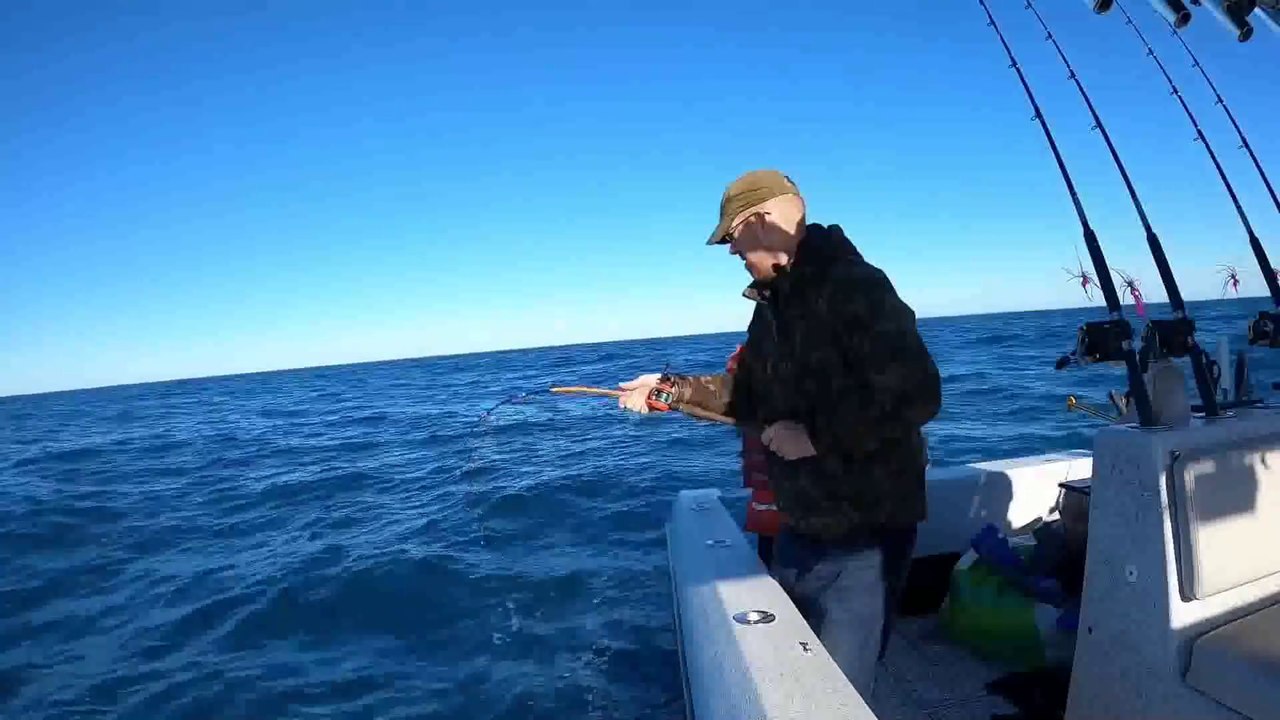 5 Days 28 Species Fishing Catch & Cook. Grouper, Snapper, Bass, Sharks, Drum and more