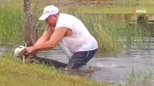 Drama im Teich: Alligator schnappt sich den Hund, für Herrchen geht um alles!