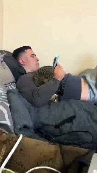 Un chat avec une drole de position