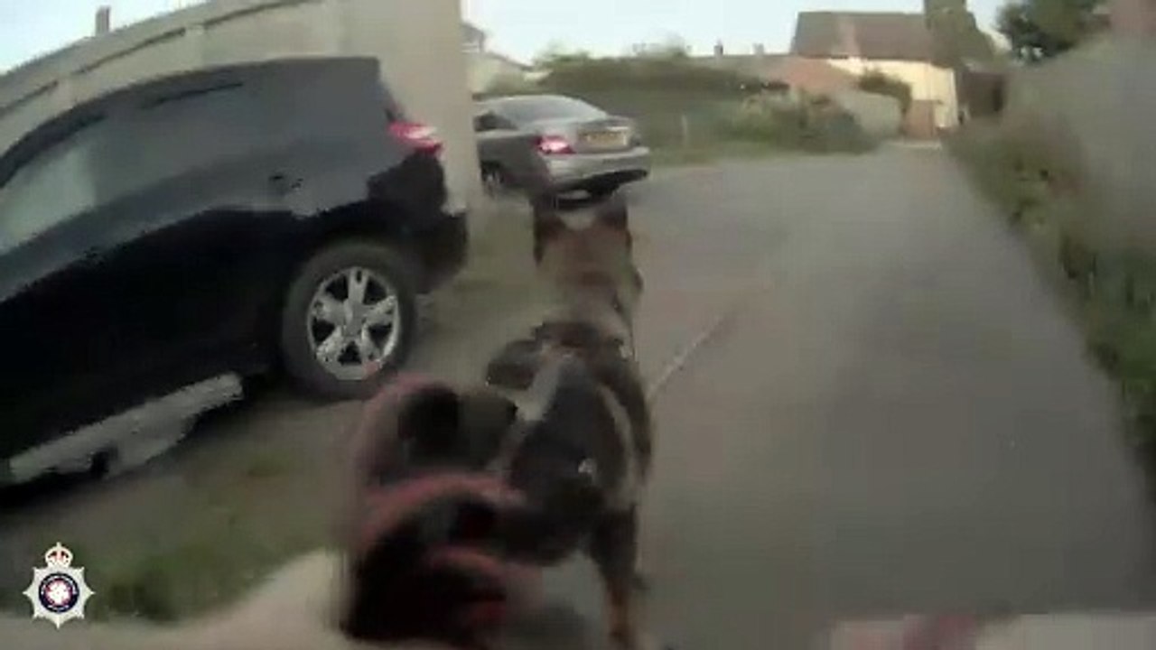 The moment Aylesbury man was caught hiding under a car after glassing stranger in the face