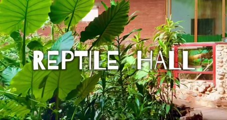 Tropiquaria zoo in West Somerset.