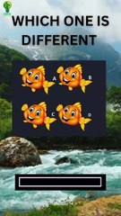 Can you guess the answer just in 5 seconds