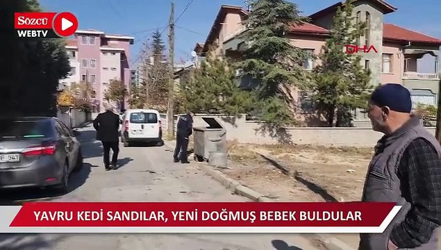 Yavru kedi sandılar, yeni doğmuş bebek buldular