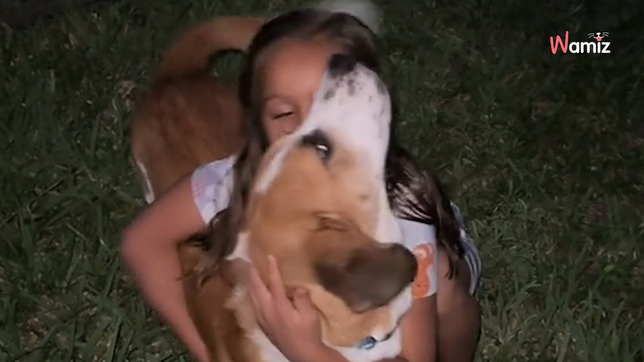 Couple spots dog sitting on road, patiently hoping that someone will help him