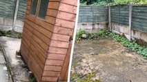 Homeowner shocked after shed vanishes from back garden