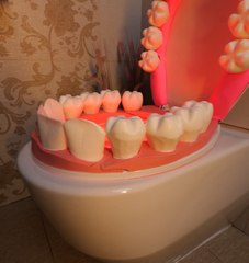 Transformez vos toilettes en épouvante pour Halloween grâce à cette astuce toute simple ! ☠️