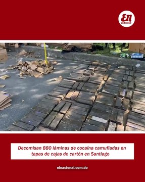 Decomisan 880 láminas de cocaína camufladas en tapas de cajas de cartón en Santiago