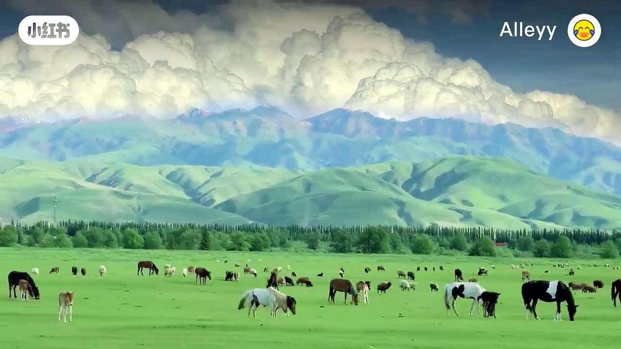 This is the view from the Nalati Grassland in Xinyuan County, northwest #China.