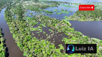 Os Maiores Predadores do Brasil