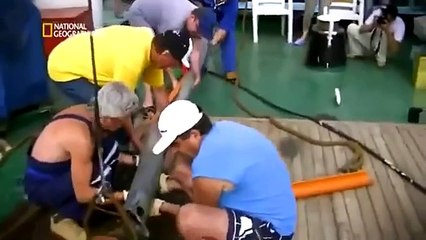 Documental: Expedientes del misterio de la antigüedad. El diluvio.