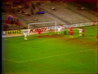 CHAMPIONNAT  DE  FRANCE  - 1981 - SAISON  1980/1981  -