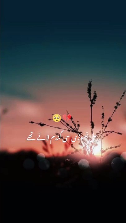 Beautiful Islamic video🌹 #islamicquotes #islamics