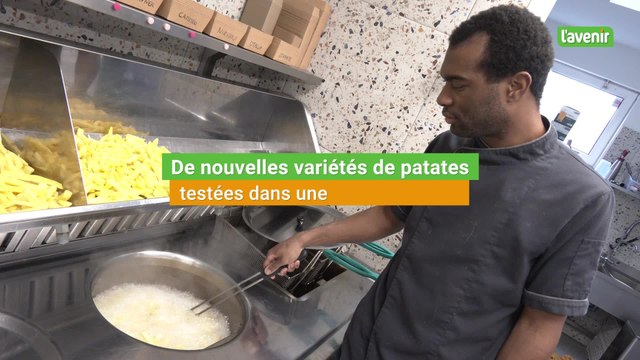 De nouvelles variétés de pommes-de-terre testées dans une friterie à Huy
