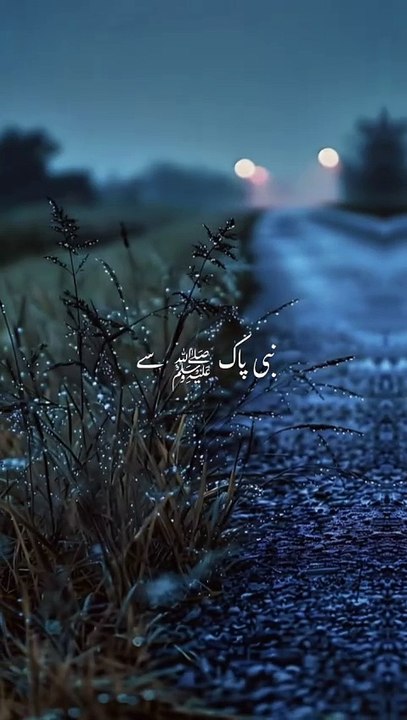 Beautiful Islamic video🌹 #islamicquotes #islamics