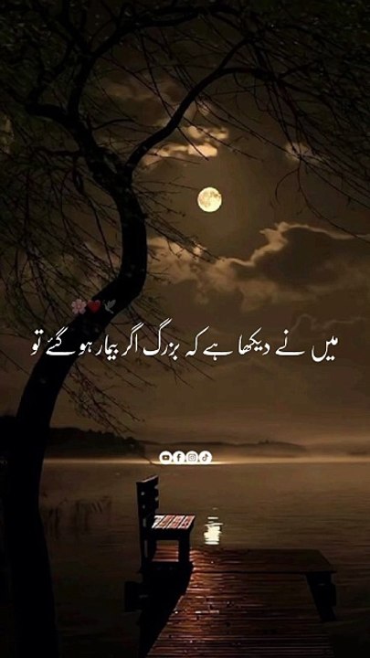 Beautiful Islamic video🌹 #islamicquotes #islamics