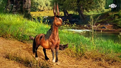 Magical Horse Transforms Poor Farmer Into a Powerful King