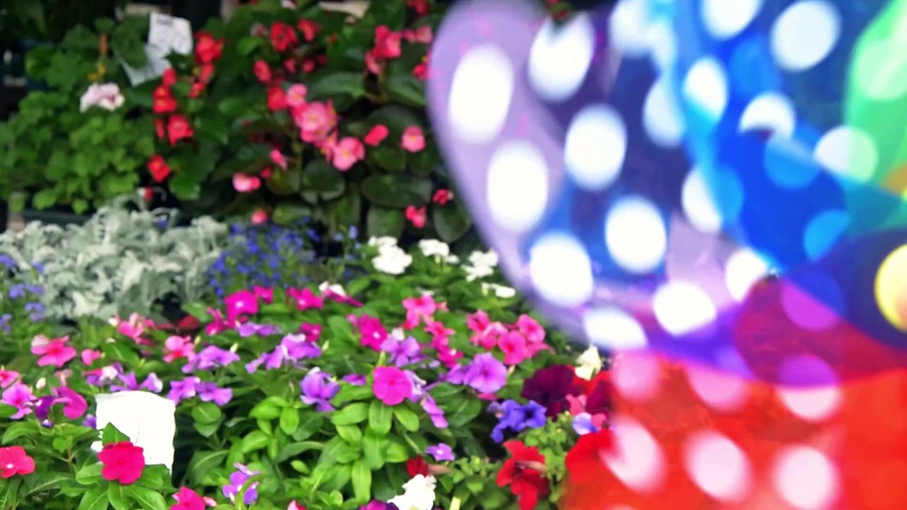 Voila Pictures showreel 2019 - Voila Pictures (1080p, h264, youtube)
