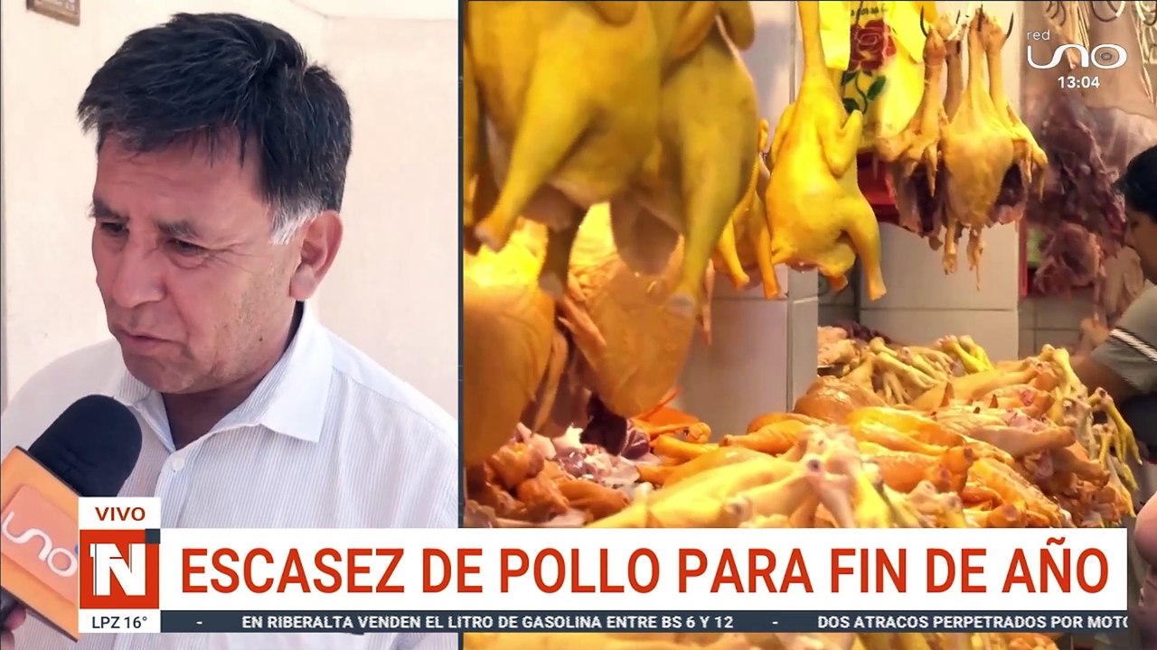 Escasez de pollo para fin de año