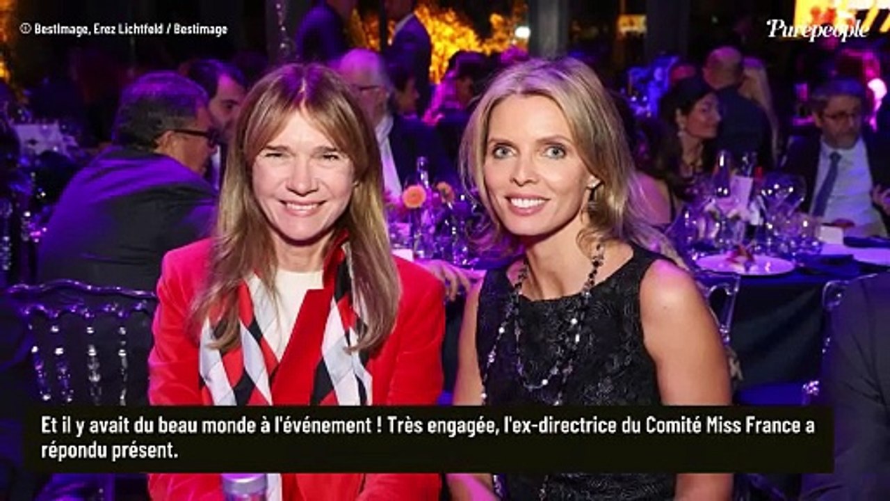 Sylvie Tellier en couple, Philippe Lellouche... Les stars réunies pour une soirée "Miraculous"