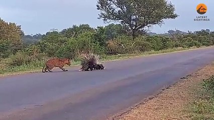 Videos | Short video | funny | entertainment | enjoy