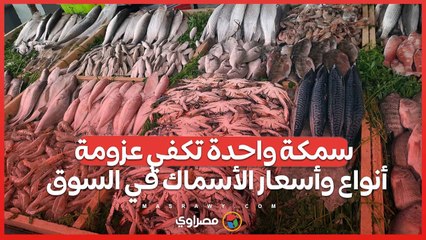 سمكة واحدة تكفي عزومة.. أنواع وأسعار الأسماك في السوق الحضاري بالإسماعيلية