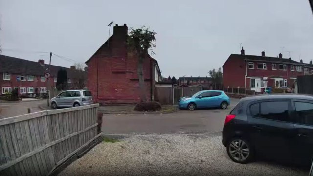 Bully doggo gets distracted by another dog but owner's quick save cools things down