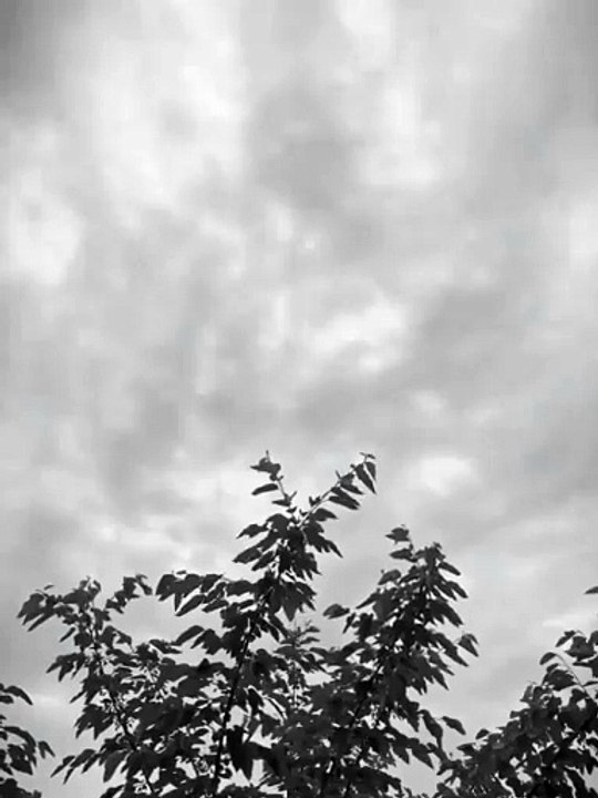 VID_20241113134926