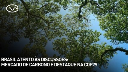 Brasil atento às discussões: mercado de carbono é destaque na COP29