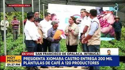 Gobierno entrega vivero de plántulas de café en Intibucá