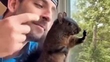 Funny Squirrel Video #1 (11-13-2024)