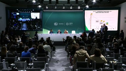 COP29: Marina Silva diz que 'presentes de Deus' energéticos devem ser consumidos com moderação