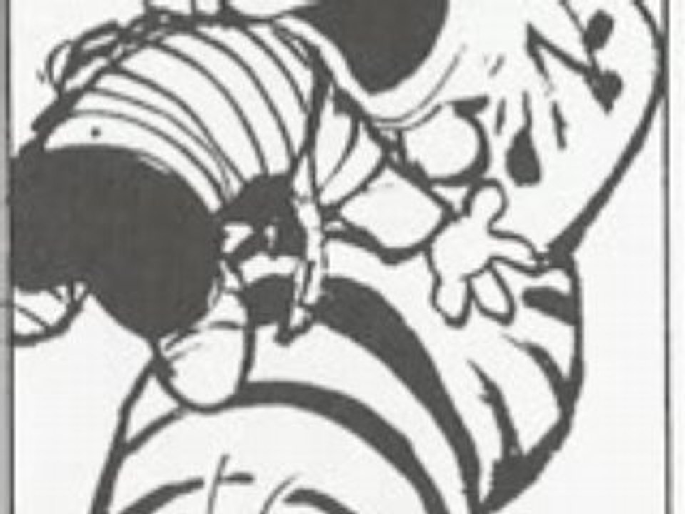 Calvin et Hobbes
