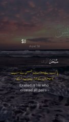 Beautiful recitation of Quran with Urdu translation |  #quran #shorts