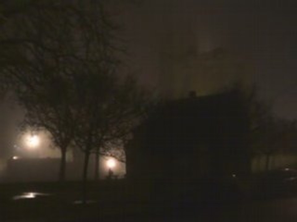 reve drrracula