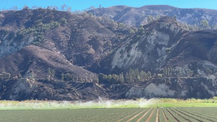 Wildfires Engulf Ventura County
