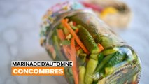 Marinades d'automne : le kimchi de concombre