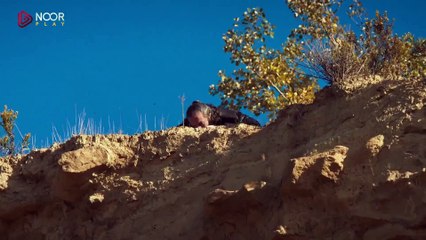 مسلسل المؤسس عثمان الحلقة 170 مترجمة القسم 1