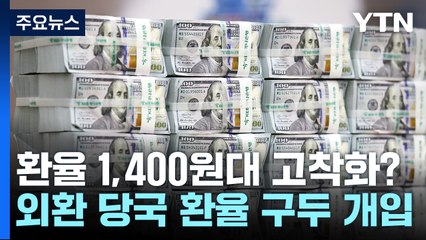 환율 1,400원대 고착화 우려...외환당국 '구두개입' / YTN