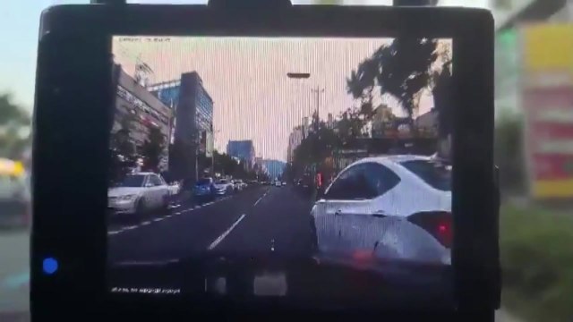 고의 사고 내고 보험금 타낸 일당 53명 검거 / YTN