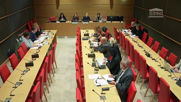 Manquements des politiques de protection de l’enfance : Audition de l’association ATD Quart monde et de l’Association nationale des directeurs d’action sociale et de santé (Andass) - Mercredi 13 novembre 2024