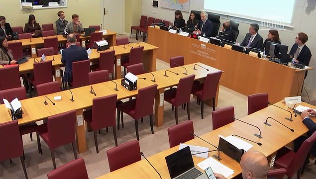Commission des affaires étrangères : Examens de divers textes - Mercredi 13 novembre 2024