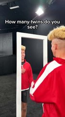 How Many Twins Can You Spot