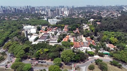 Klimawandel: Tödlicher Skorpion in Brasilien auf dem Vormarsch