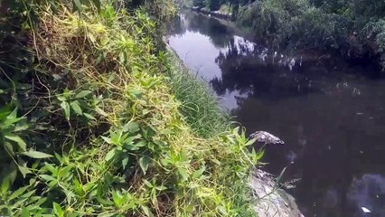 Kamahan village ganda nala near Feroz pur road Lahore