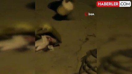Çekmeceye Giren Yılan Paniğe Neden Oldu