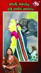 థాంక్స్ శివయ్య.. భక్తి చాటిన వానరం #short #karthikamasam #sivalinga #monkey #hugs | FBTV NEWS