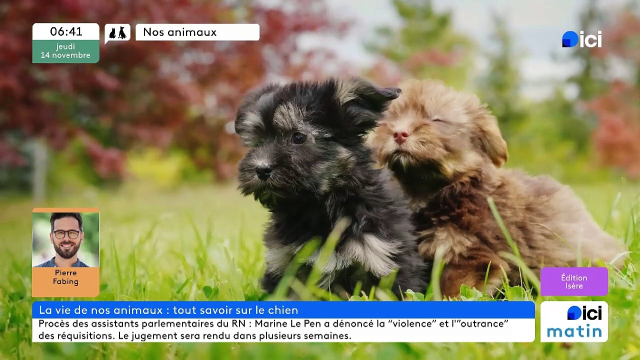 14/11/2024 - ICI Matin France Bleu Isère en vidéo