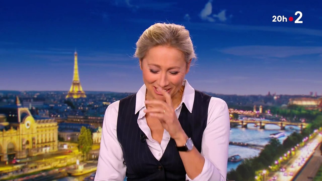 Découvrez pourquoi la journaliste Anne-Sophie Lapix a été prise d'un fou rire, hier soir, en direct sur son plateau pendant le journal de 20h sur France 2 - Regardez